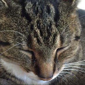 Meet your Posher, Elisabeth