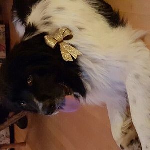 Meet your Posher, Gabrielle