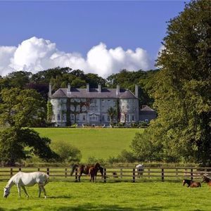 Meet your Posher, Patty