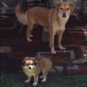 Meet your Posher, Mercedes