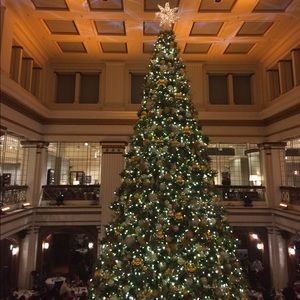 Meet your Posher, Maddie