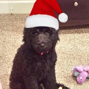 Meet your Posher, Stacy