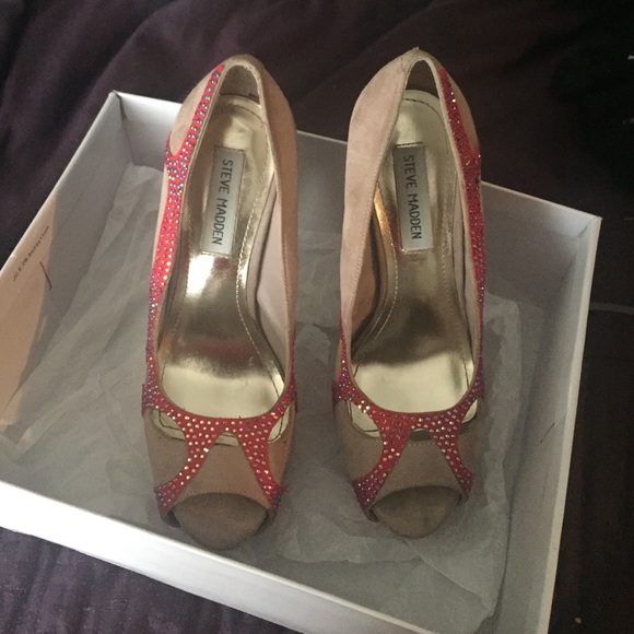 Lasiodora BL - Picture 2 of 4