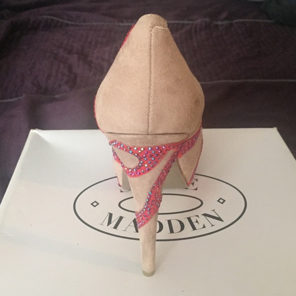 Lasiodora BL - Picture 3 of 4