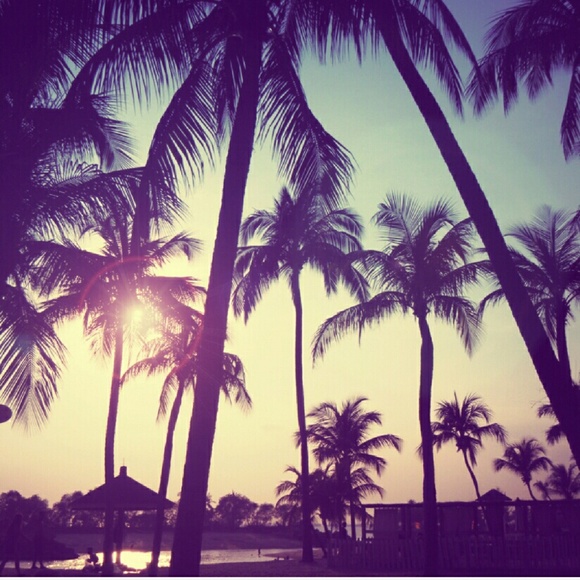 Meet your Posher, Gladys