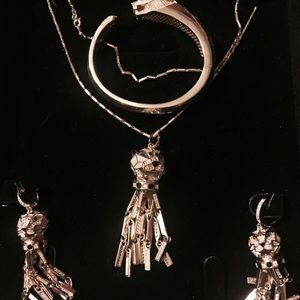 Silver set tiger shape