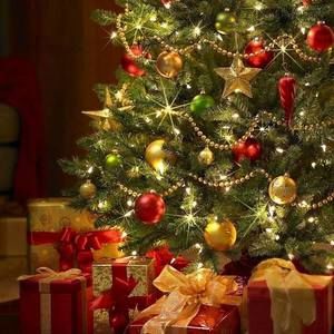 Meet your Posher, Marcey