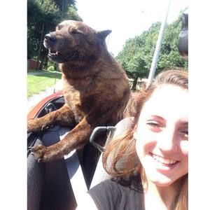 Meet your Posher, Samantha