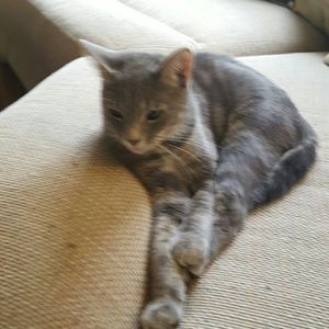 Meet your Posher, Jessica