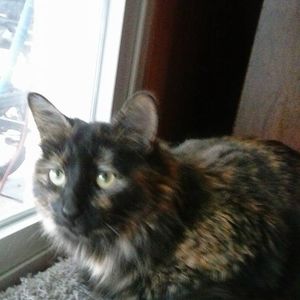 Meet your Posher, Brandy