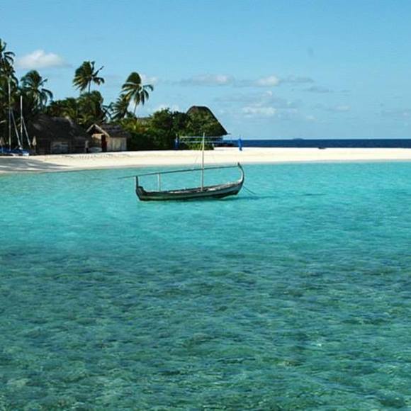 Meet your Posher, Alison - Picture 1 of 1