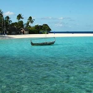 Meet your Posher, Alison