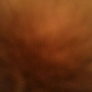 Meet your Posher, Shari