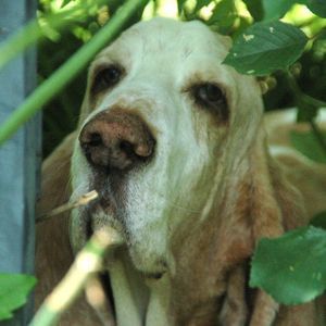 Meet your Posher, Jacquelyn