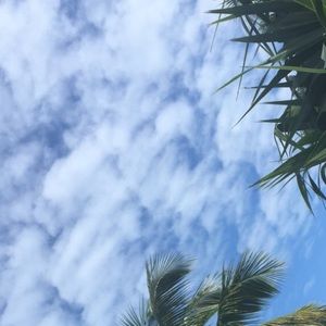 Meet your Posher, Nik