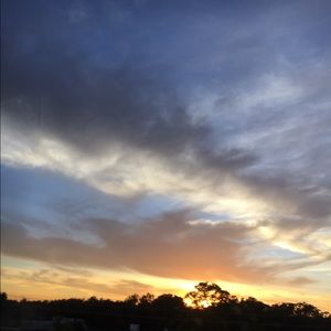 Meet your Posher, Daniela