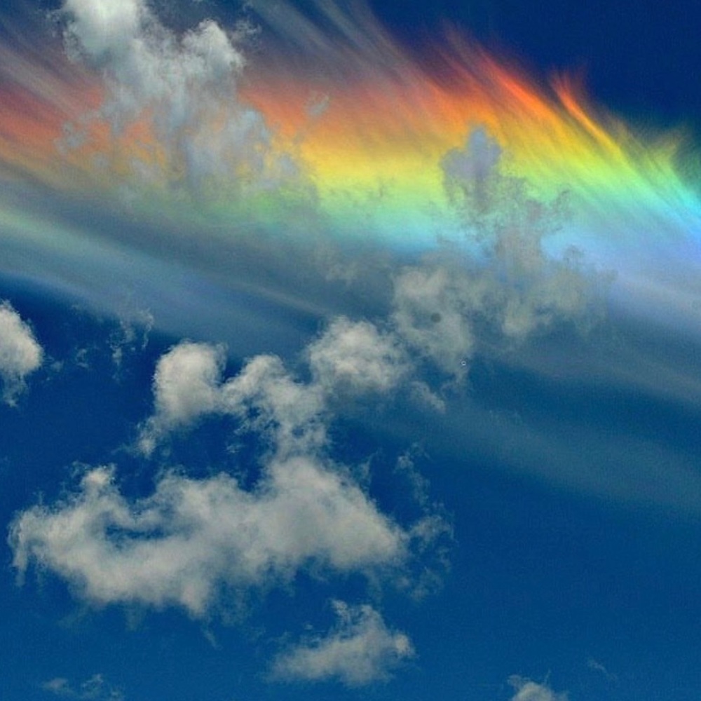 Meet your Posher, Violet