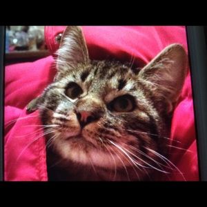 Meet your Posher, Terry