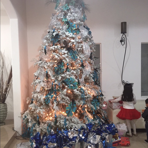 Meet your Posher, Ramon