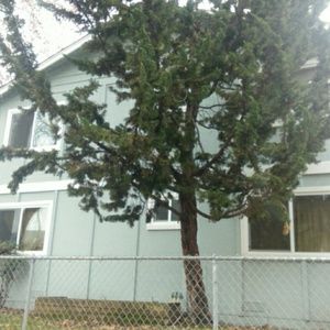 Meet your Posher, Tam