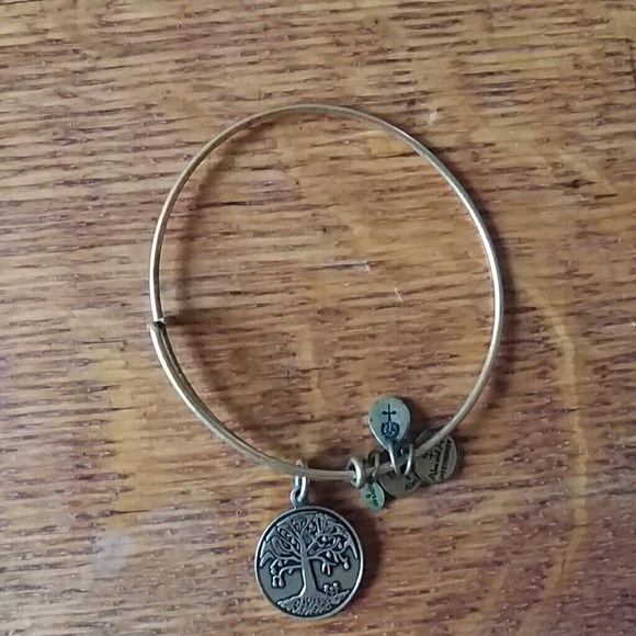 Alex & Ani bracelet