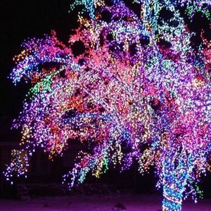 Meet your Posher, Harley