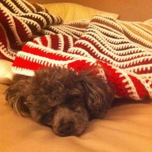 Meet your Posher, Debbie