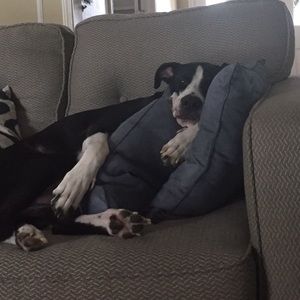 Meet your Posher, Jasmine