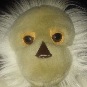 Meet your Posher, Nanci