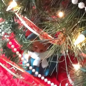 Meet your Posher, Maureen