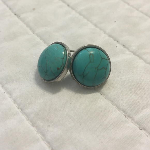 Tortoise Shell teal studs