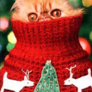 Meet your Posher, Ashlie