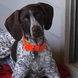 Meet your Posher, Patsy