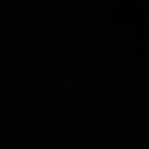 Meet your Posher, Bernadette