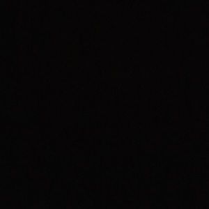 Meet your Posher, Gianna