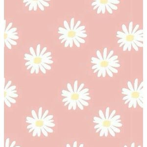 Meet your Posher, Aris