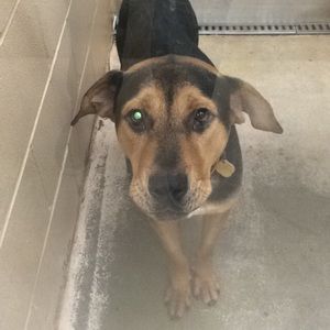 Meet your Posher, Dustin