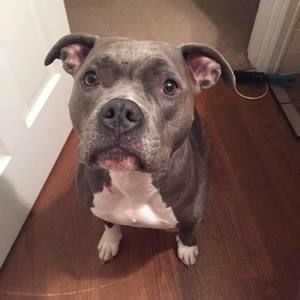 Meet your Posher, Monica