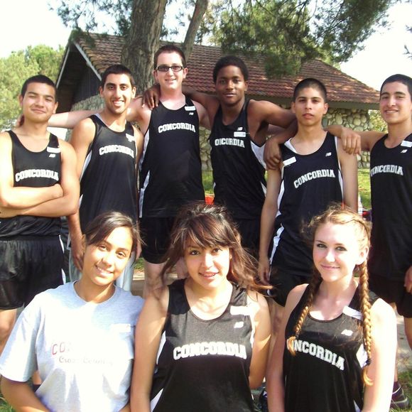 Meet your Posher, Ken - Picture 1 of 1