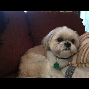 Meet your Posher, Aaliyah