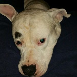 Meet your Posher, Mary anne