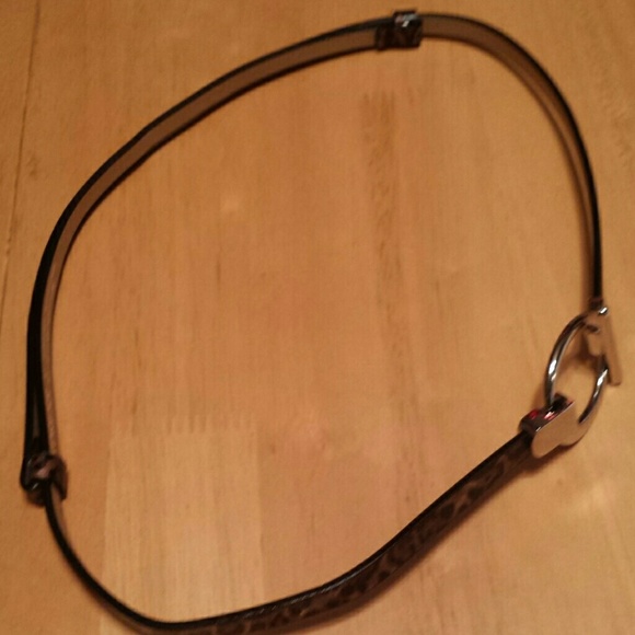 Belt - Picture 4 of 4