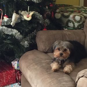 Meet your Posher, Brenda