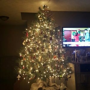 Meet your Posher, Melinda