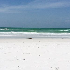 Meet your Posher, Dave