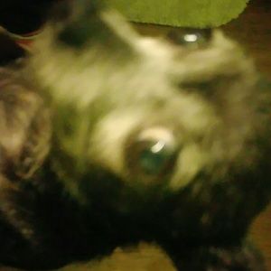 Meet your Posher, Beverly