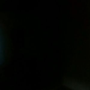 Meet your Posher, Shawntae