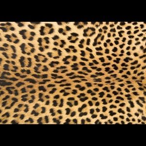 Meet your Posher, Bridgette