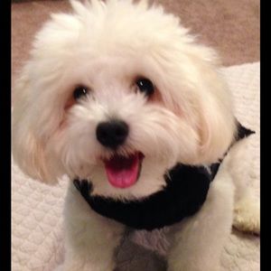 Meet your Posher, Leah