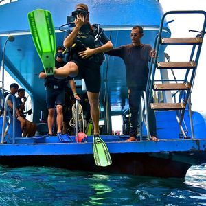 Meet your Posher, Mallory